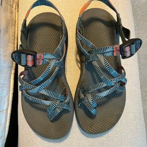 Bluish grey chaco’s
